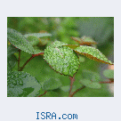 Знакомство с поддержкой