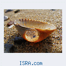 Знакомство с женщиной