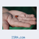 Знакомство