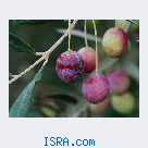 Познакомлюсь с женщиной