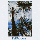 Знакомство и встречи