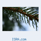 Знакомство с женщиной