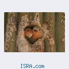 Знакомство с женщиной