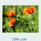 Знакомство с женщиной которая