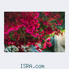 Знакомство с женщиной 50+