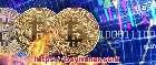 BAY Miner: ежедневный доход держателей BTC/LTC/DOGE — $28 667