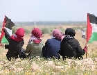 Британцы готовят план признания палестинской государственности 