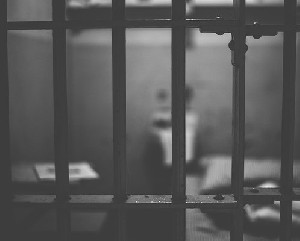 Известного активиста отправили под административный арест 