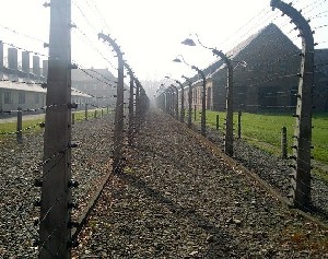 Школьники не поедут в Польшу 