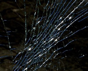 Атака на Западном берегу. Есть раненный 