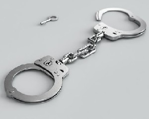 Полиция арестовала насильника. Выдвинуты обвинения  