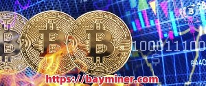 BAY Miner: ежедневный доход держателей BTC/LTC/DOGE — $28 667