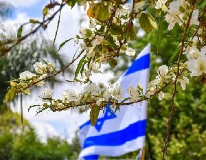 Саар: Израиль заинтересован в дипломатии 