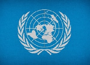 Израиль требует от ООН конкретных действий 
