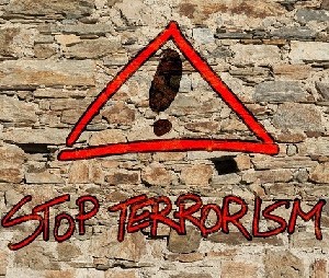 Северянин обвиняется в поддержке терроризма 