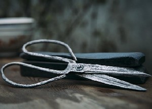 Решится ли Израиль на аннексию Западного берега? 