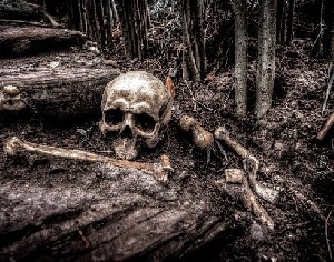 ХАМАС не может выполнить главное обязательство по сделке 