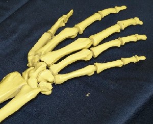 Террористы нашли ещё два тела  Террористы нашли ещё два тела