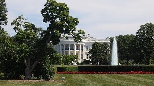 У Белого дома стрельба: двое гвардейцев тяжело ранены, стрелок — мигрант У Белого дома стрельба: двое гвардейцев тяжело ранены, стрелок — мигрант