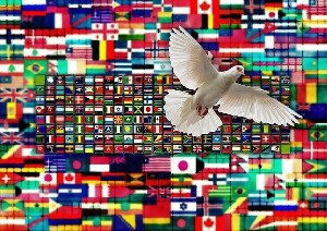 План Трампа по Газе забуксовал — израильская сторона не спешит дальше, США высказывают недовольство