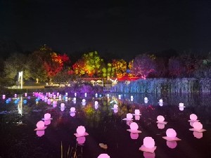 Европейская зимняя сказка Winter Dreams снова в Иерусалиме!