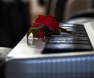 Три дня вдохновения: главный музыкальный праздник января в Эйлате