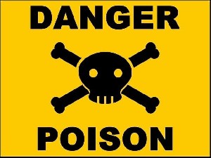 Во Франции начался суд над няней, обвиняемой в попытке отравить еврейскую семью Во Франции начался суд над няней, обвиняемой в попытке отравить еврейскую семью