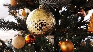 В Израиле зажгли самую высокую ёлку на Ближнем Востоке — 31 метр света и праздника В Израиле зажгли самую высокую ёлку на Ближнем Востоке — 31 метр света и праздника