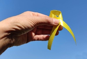 ХАМАС и Красный Крест возобновили поиски последнего заложника в Газе ХАМАС и Красный Крест возобновили поиски последнего заложника в Газе