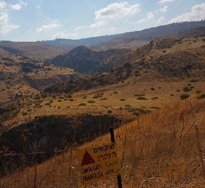 Израиль и Сирия достигли договоренностей по безопасности под эгидой США Израиль и Сирия достигли договоренностей по безопасности под эгидой США