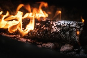 Поселенцы атаковали бедуинский лагерь в Иудее и Самарии, есть раненые