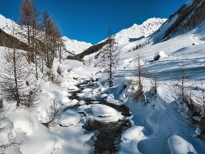 Во Франции автобус с израильскими туристами попал в ДТП, погибла 12-летняя девочка