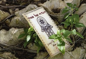 С праздником Песах!