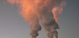 ЧП в аэропорту Бен-Гурион: из подозрительной посылки пошел густой дым ЧП в аэропорту Бен-Гурион: из подозрительной посылки пошел густой дым