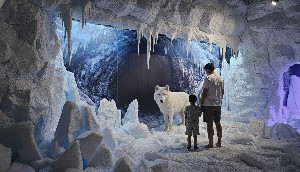 Весной 2026 в Израиль приходит…Антарктика Весной 2026 в Израиль приходит…Антарктика