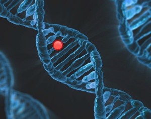 Израильские ученые нашли способ омолодить клетки через иммунную систему Израильские ученые нашли способ омолодить клетки через иммунную систему