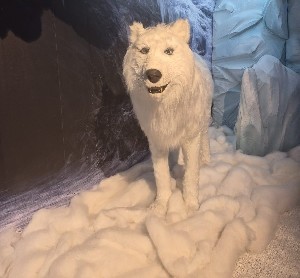 Весной 2026 в Израиль приходит…Антарктика и Арктика