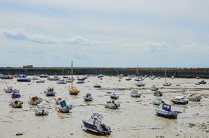 ЦАХАЛ готовится перехватить крупную флотилию у берегов Газы