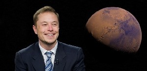 Израиль обсуждает с Маском завод под Димоной: ставка на автопилоты и Starlink