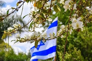 Израиль предложил Ливану поэтапное разоружение Хезболлы и путь к мирному соглашению Израиль предложил Ливану поэтапное разоружение Хезболлы и путь к мирному соглашению