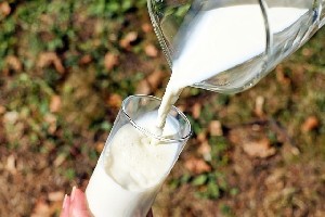 Израильский стартап создал молоко без коров: продукт уже выходит на рынок Израильский стартап создал молоко без коров: продукт уже выходит на рынок